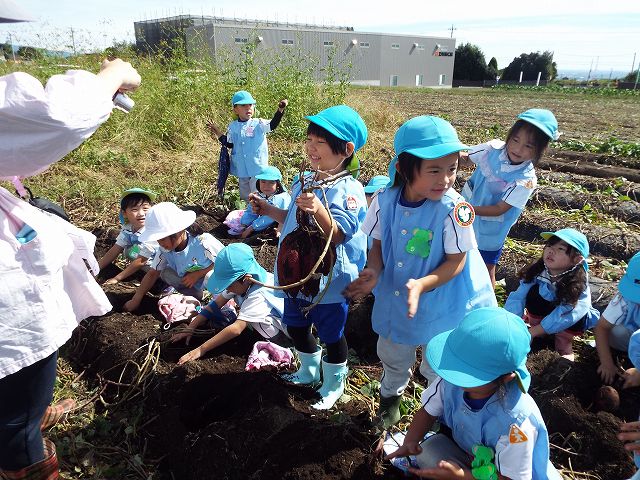 06-3011 (2)