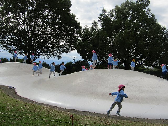 11-0131