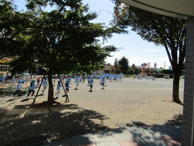 13-0233