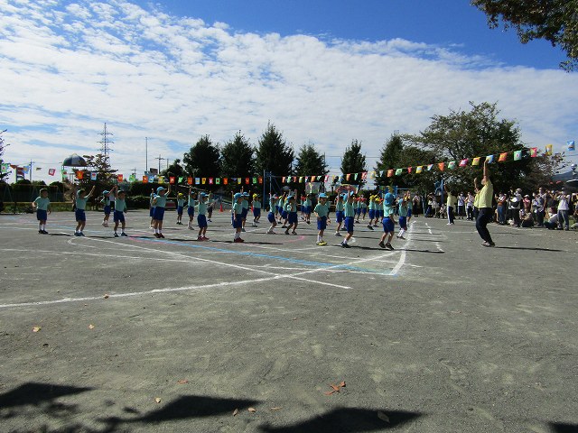 15-0381