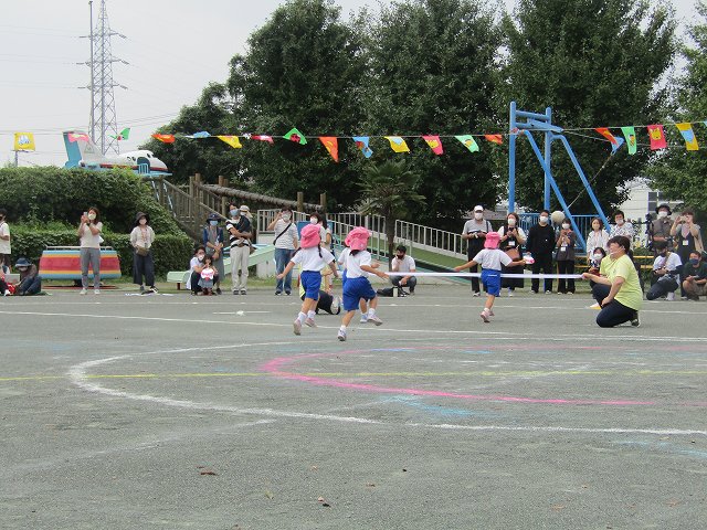 26-0313