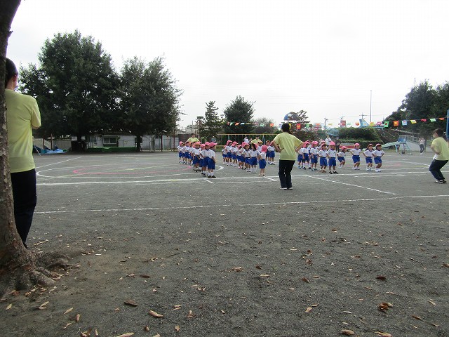 31-0249