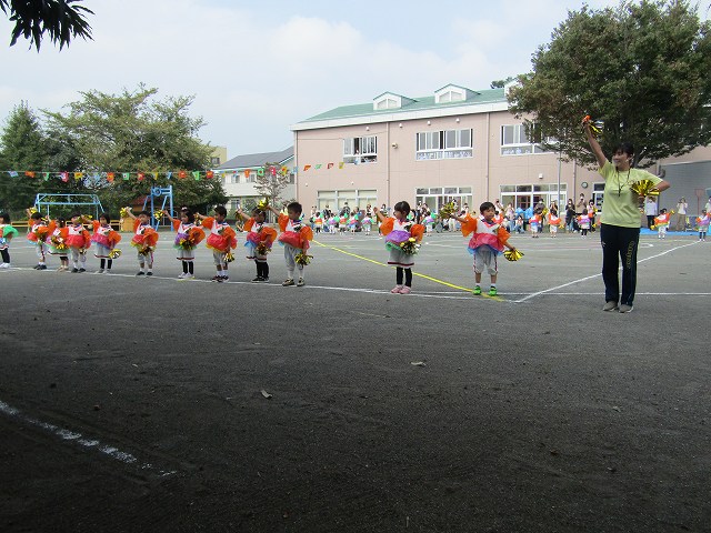 33-0228