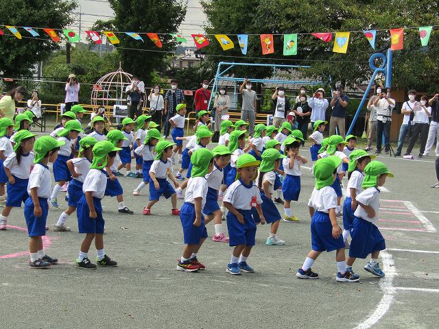 46-0066