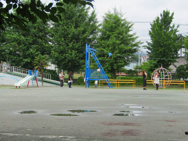 06-0005 2